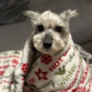 Meet your Posher, Vanessa